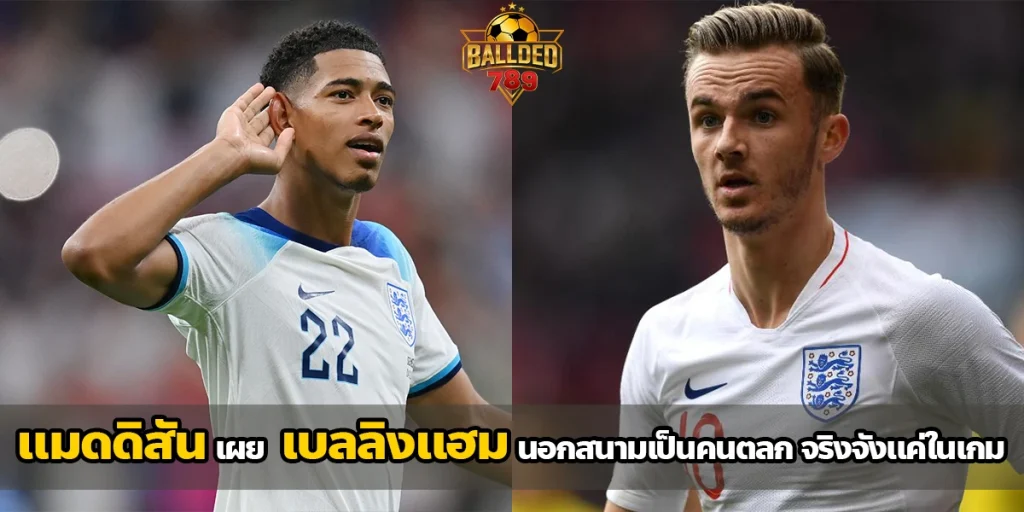 แมดดิสัน
