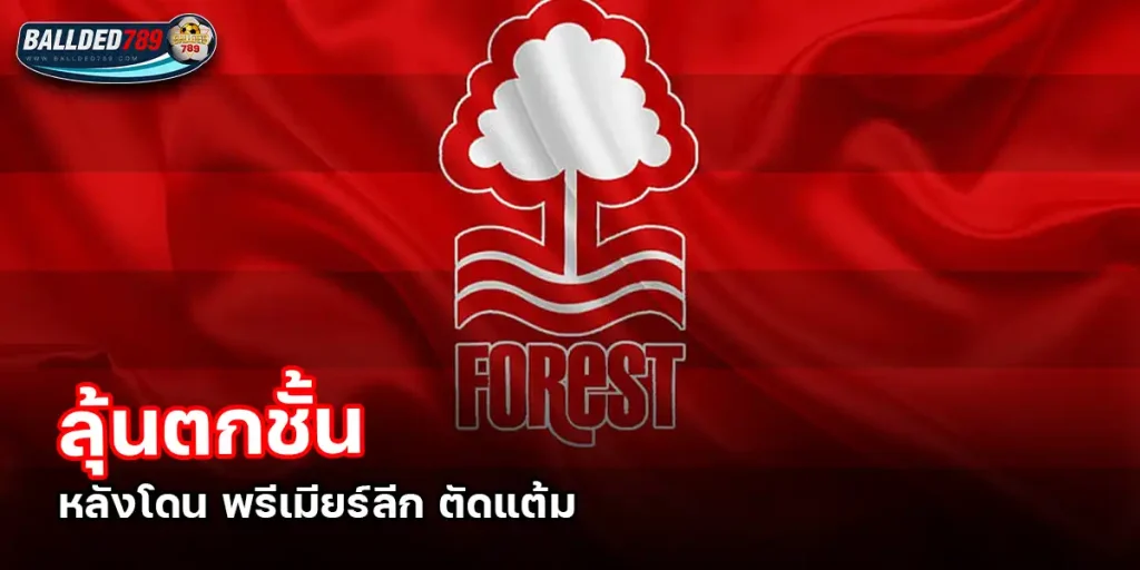 ฟอเรสต์
